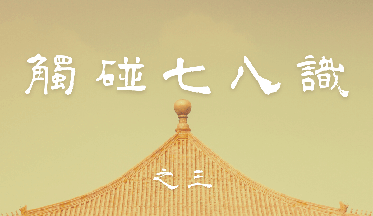 【觸碰七八識】03.雖然六根都有它的作用,但你有沒有注意到...